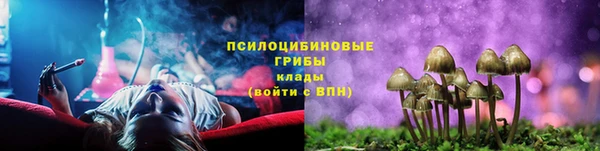 MDMA Premium VHQ Богородицк